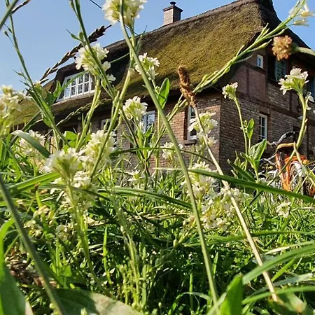 App. Tueddelkroms, 2-3 Pers., In Traumhafter Alleinlage, Naehe Binz