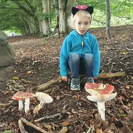 Apartmán App. Tueddelkroms, 2-3 Pers., In Traumhafter Alleinlage, Naehe Binz