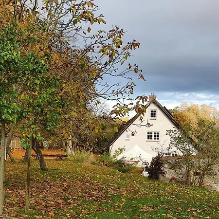 App. Tueddelkroms, 2-3 Pers., In Traumhafter Alleinlage, Naehe Binz Apartmán