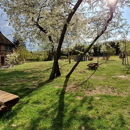 App. Tueddelkroms, 2-3 Pers., In Traumhafter Alleinlage, Naehe Binz Zirkow